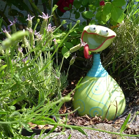 Eifelrose Vorpochten