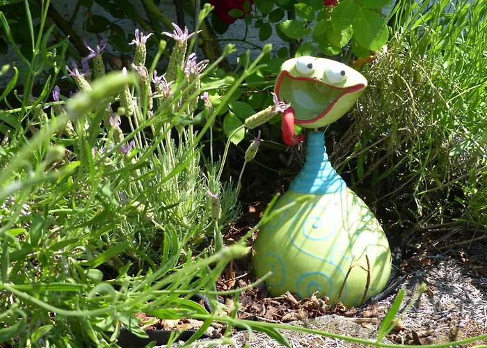 Eifelrose Vorpochten