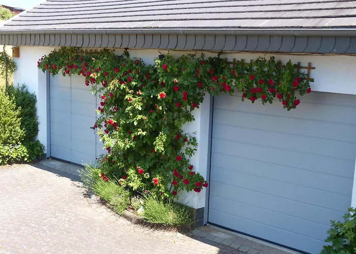 Eifelrose * Vorpochten