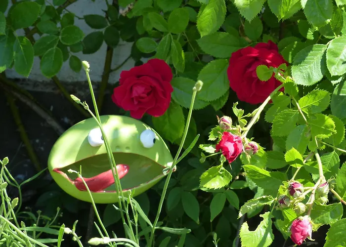 Apartment Eifelrose *